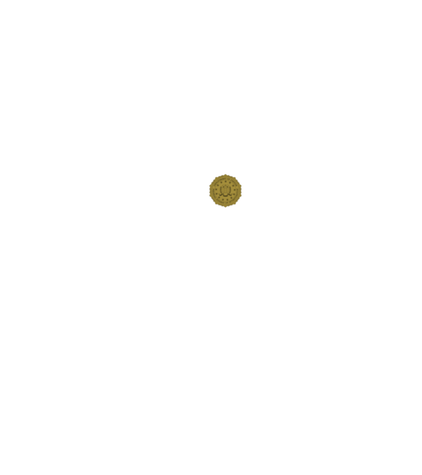 FBI  minta fekete pólón