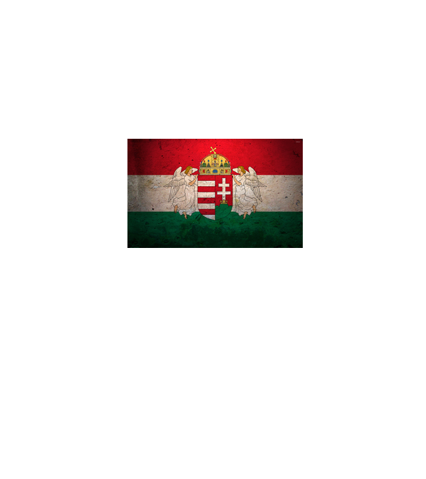 magyar zázsló címerrel szájmaszk minta farmerkék pólón