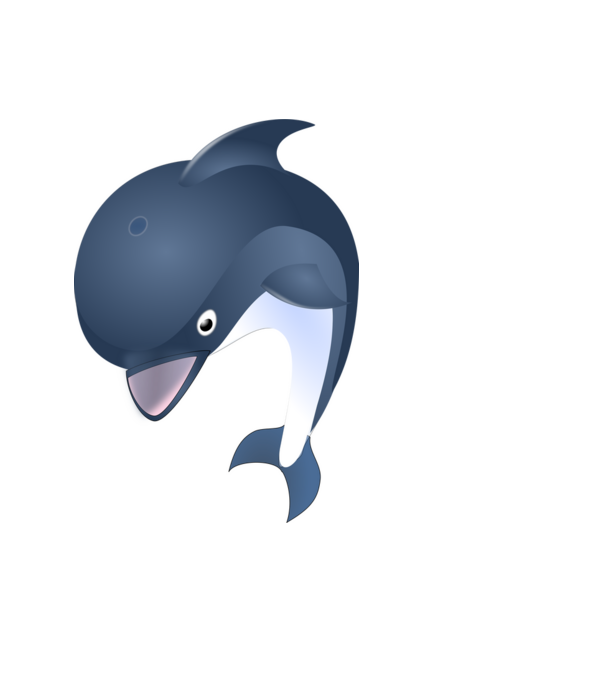 Delfin minta fekete pólón
