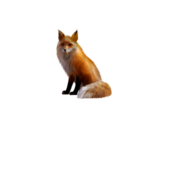 gyönyörű róka minta szürke pólón