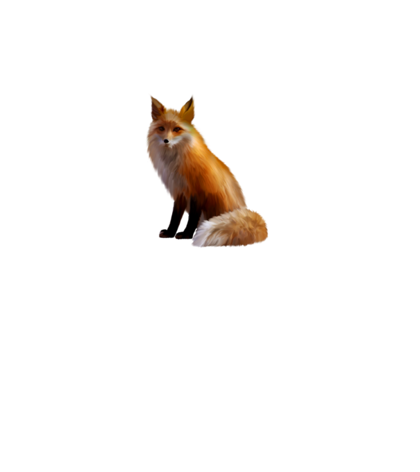 gyönyörű róka minta fehér pólón