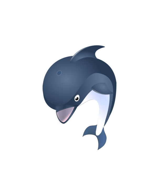 Delfin minta fehér pólón