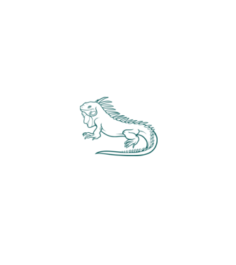 Iguana kaméleon színezhető minta minta fehér/piros pólón