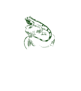 Iguana mászik színezhető póló minta minta szürke pólón