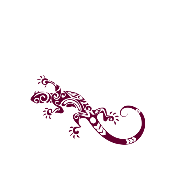 színezhető iguana gyík kaméleon szalamandra színezhető minta fehér pólón