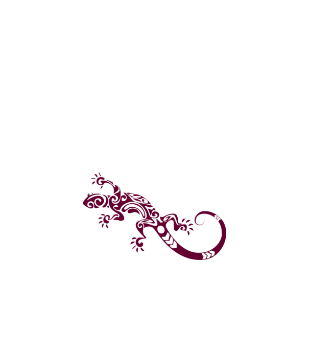 színezhető iguana gyík kaméleon szalamandra színezhető minta fehér pólón
