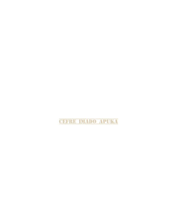 CIA cefre imádó apuka színezhető minta farmerkék pólón