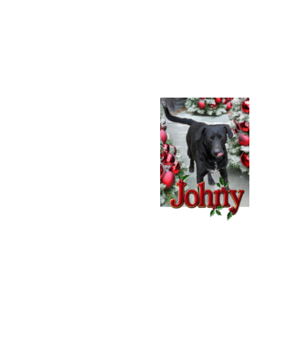 Johny minta neonsárga pólón