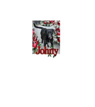 Johny minta dusty pink pólón