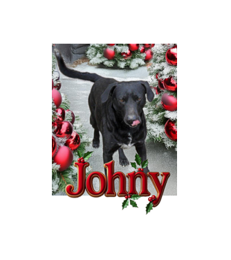 Johny minta fehér pólón