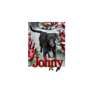 Johny minta fehér pólón