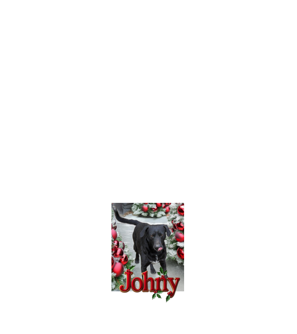 Johny minta fehér pólón