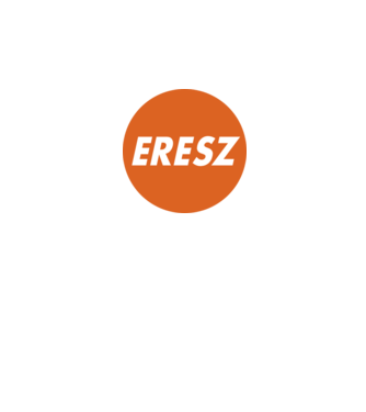 Eresz minta szürke pólón