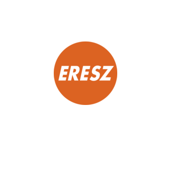 Eresz minta szürke pólón