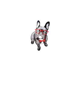 Francia bulldog  minta fehér pólón