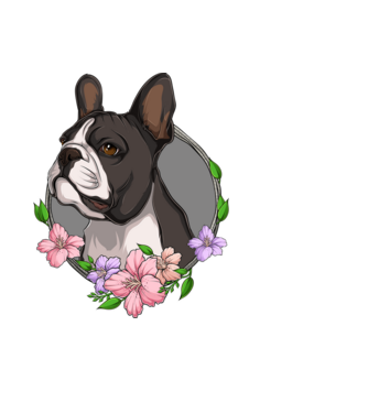 Francia Bulldog minta fekete pólón