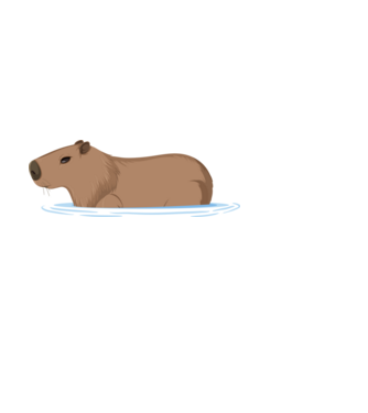 Capybara minta világoskék pólón