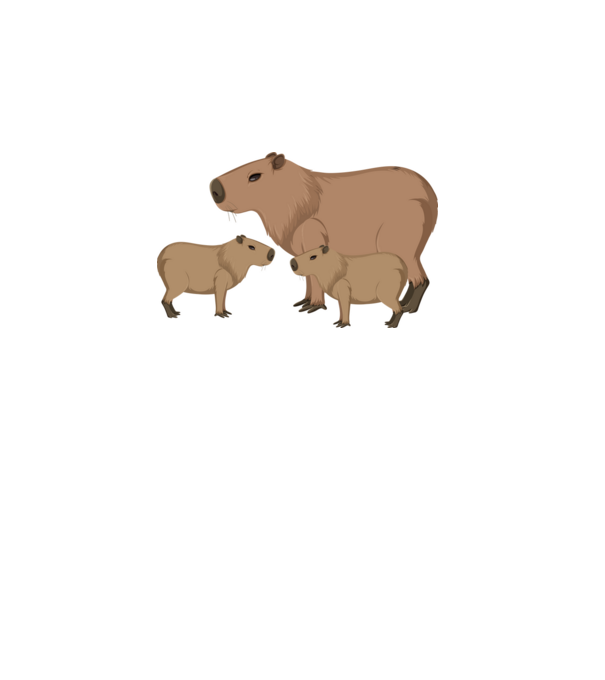 Capybara család  minta fehér pólón