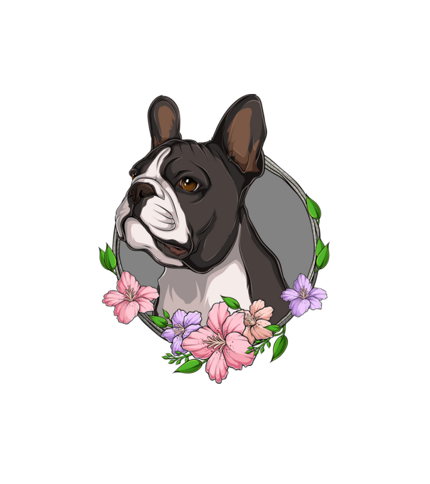Francia Bulldog minta fehér pólón