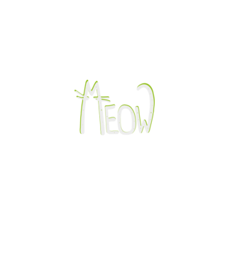 Cica betűk - Meow  minta szürke pólón