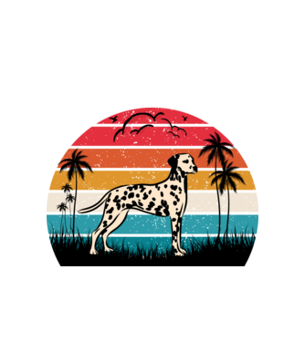 Dalmata Vintage Grafika minta fehér pólón