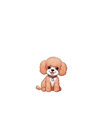 Aranyos kiskutya - Uszkár (Poodle) minta fehér pólón