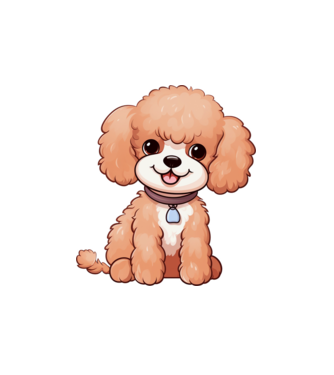 Aranyos kiskutya - Uszkár (Poodle) minta fehér pólón