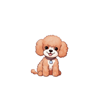 Aranyos kiskutya - Uszkár (Poodle) minta fehér pólón