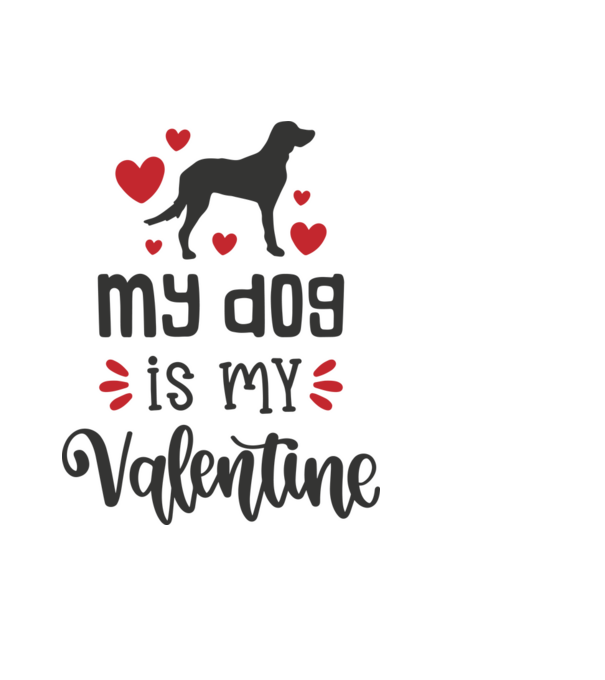 My Dog Is My Valentine - A kutyám az én Valentinom minta világoskék pólón
