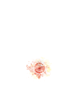 Mandala akvarell fehér minta fehér pólón