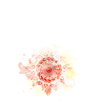 Mandala akvarell fehér minta fekete pólón