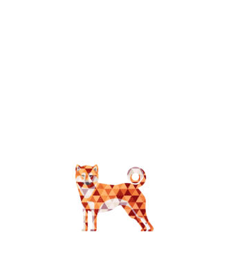 Akita inu / kutya minta fehér pólón