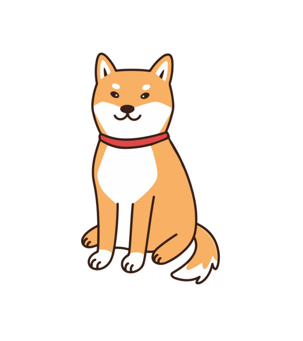 Shiba inu minta fehér pólón