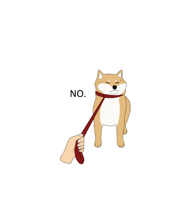 Shiba nem sétál minta fehér pólón