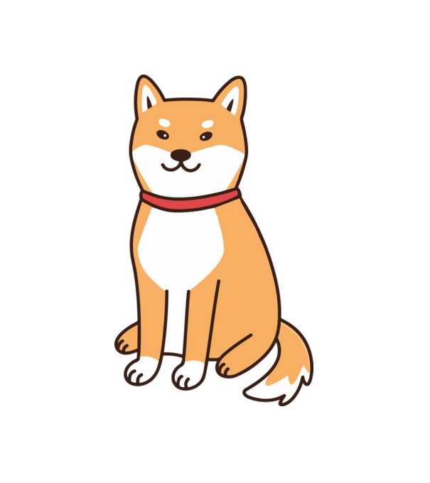 Shiba inu minta fehér pólón