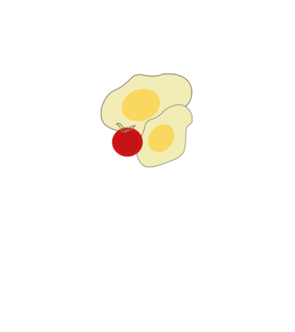 egg minta királykék pólón