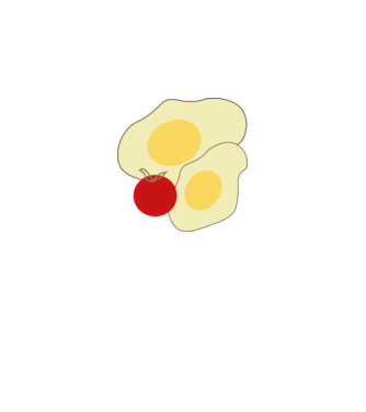 egg minta fehér pólón