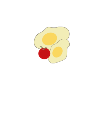 egg minta fehér pólón
