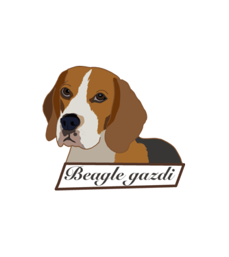 Beagle gazdi minta fehér pólón