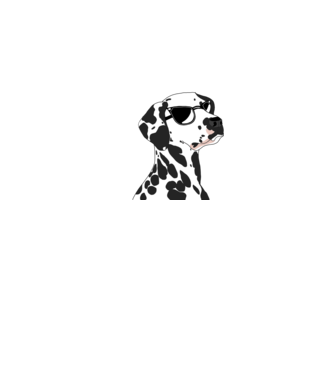Dalmata minta fehér pólón