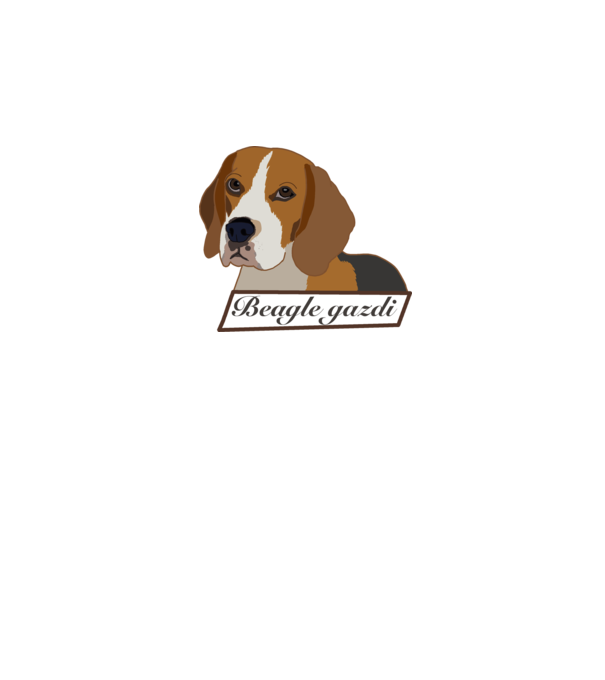 Beagle gazdi minta rózsaszín pólón