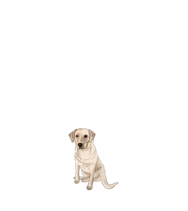 Labrador minta világos rózsaszín pólón