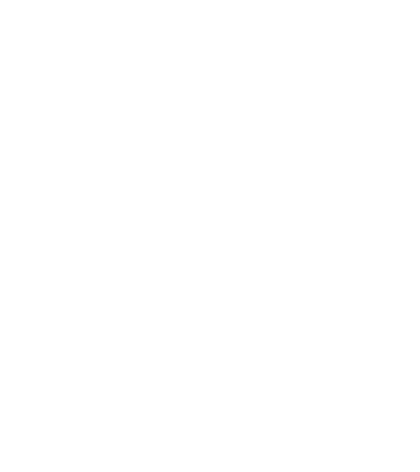 Magyarország minta szürke pólón