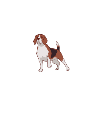 Beagle dog minta fehér pólón