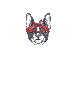Francia bulldog  minta fehér pólón