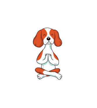 Ragnar Yoga Dog minta fehér pólón
