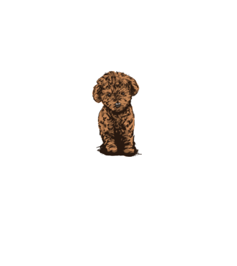 Poodle dog minta fehér pólón