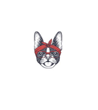 Francia bulldog  minta fehér pólón