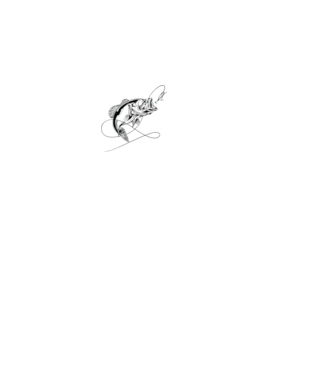 WTF minta fekete pólón