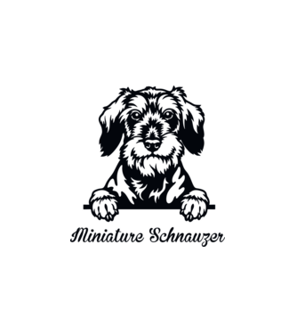 Miniature schnauzer zsebminta minta fehér pólón